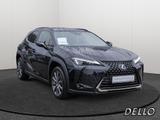 Lexus UX 250h Style+ Ed. SHZ ACC ALUFELGEN 18 ZOLL WKR - Lexus: 1s250
