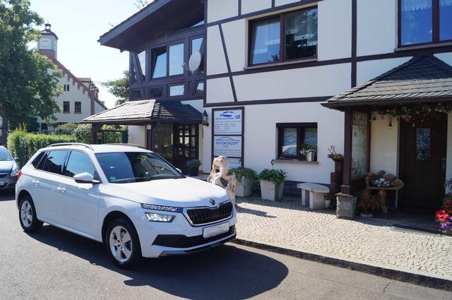 Skoda Kamiq CarPlay-LED-PDC-Sitzh.-Allwetter-Spur-AHK