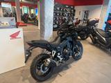 Honda NX500 2026 E-Clutch Black *sofort verfügbar* - HONDA CL 500