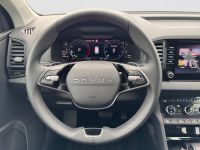 Skoda Karoq - Vorschau Bild 14