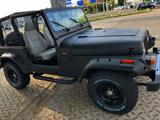 Jeep Wrangler 4.0 - - gebrauchte Jeep Wrangler aus dem Jahr 1994