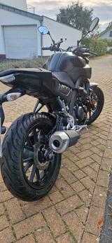 Yamaha MT125 (Modell 2022) - YAMAHA MT125