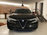 Alfa Romeo Stelvio Lusso Ti Q4 Vollleder ACC RFK el. Sitze - Alfa Romeo mit Diesel-Antrieb