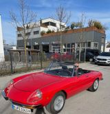 Alfa Romeo Spider 1600 Top Zustand  - Alfa Romeo: 1600