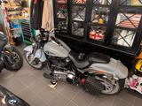 Harley-Davidson Fat Boy 117 - NUR 486 KM !! - HARLEY-DAVIDSON FAT BOY 117