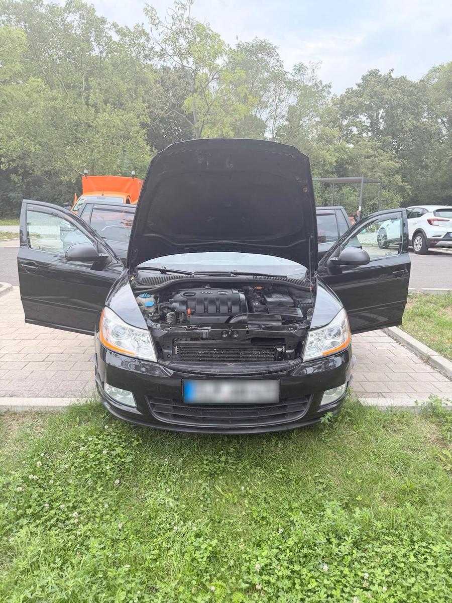 Skoda Octavia 2009 — photo 6