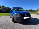 Volkswagen Caddy 1,2TSI 63kW Roncalli Startline 5-Sitze... - Volkswagen Caddy: Roncalli Startline
