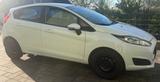 Ford Fiesta 1,25 60kW Trend Trend - Ford Fiesta: 60 Trend