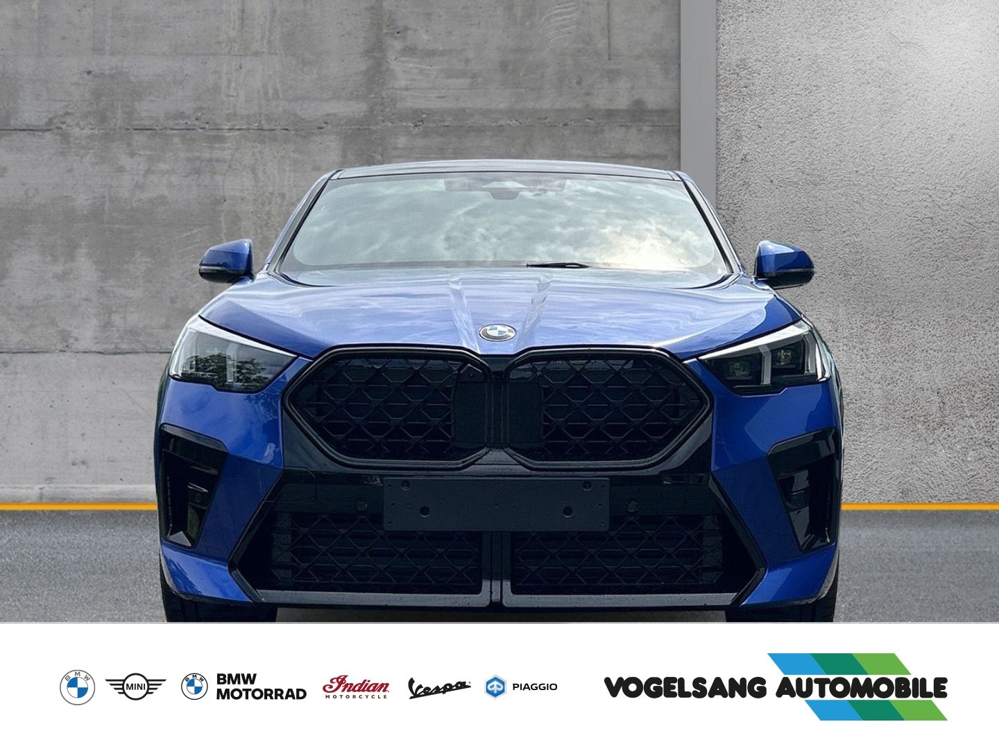 Fahrzeugabbildung BMW X2 20i sDrive M Sport Park-Assistent Sportpaket