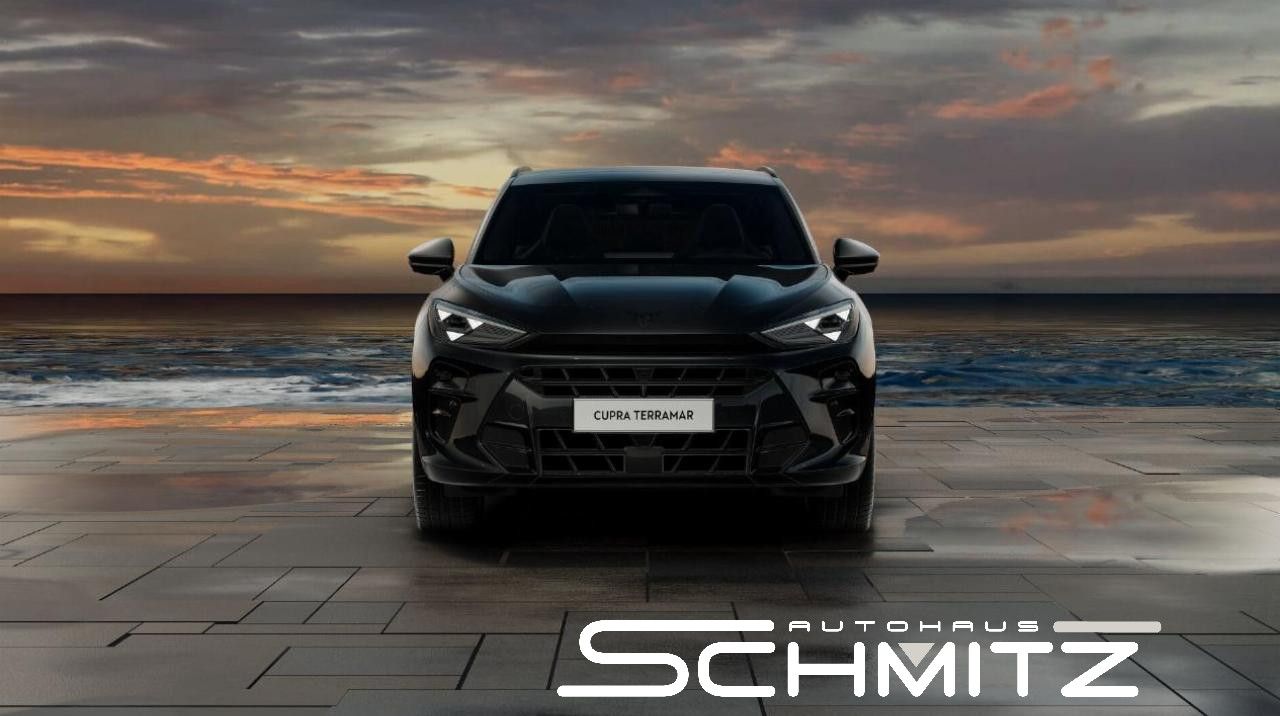 Cupra Terramar - Bild 2