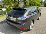 Lexus RX 450 450h Executive Line Executive Line - gebrauchte Lexus SUV & Geländewagen