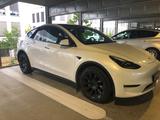 Tesla Model Y Long Range Dual Motor AWD Long Range - Tesla Model Y von privat