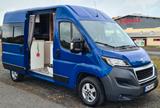 Peugeot Boxer L2 H2 Wohnmobil Selbstumbau - Peugeot Kastenwagen