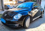 Volkswagen New Beetle Verfügbarkeit ab 30. Oktober - Volkswagen New Beetle: Kleinwagen