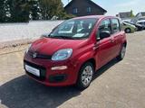Fiat New Panda 1.2 8V POP Klima Tüv neu - rote Fiat New Panda