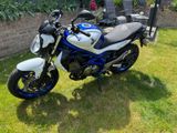 Suzuki SFV650A Gladius - SUZUKI 650 GLADIUS
