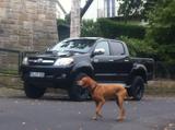 Toyota Hilux 3.0 Automatik - Toyota Hilux: 3.0