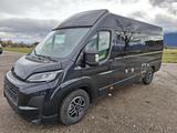 HYMER / ERIBA / HYMERCAR Yellowstone Fiat Premium Assistenz Maxi  - HYMER / ERIBA Kastenwagen