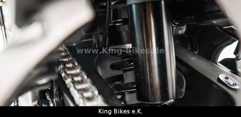 Fahrzeugabbildung VOGE 800DS RALLY/DS800X RALLY -Inkl. 3 Jahre Garantie