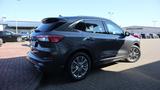 Ford Kuga Plug-In Hybrid Vignale NAVI-LRKHZ-SHZ-AHK - Ford Kuga mit Hybrid-Antrieb