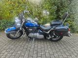 Suzuki VL800 - Angebote