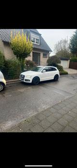 Audi SQ5 3.0 Quattro TDI tiptronic - Audi SQ5 in Mönchengladbach