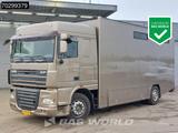 DAF XF105.410 XF 4X2 NL-Truck JK Horsetruck 6 Horses - DAF XF 410