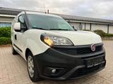 Fiat Doblò SX Maxi Kasten*SONDERUMBAU-WÜRTH 4000€ - Fiat Doblo: Sx