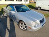 Mercedes-Benz CLK 55 AMG Cabrio einer von 1432 - Mercedes-Benz CLK 55 AMG: Cabrio