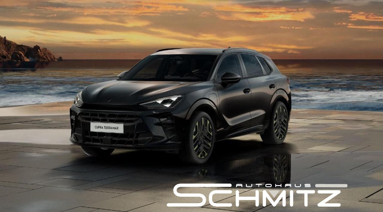 Cupra Terramar - Bild 1