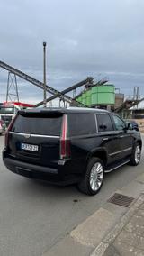 Cadillac Escalade 6.2 V8 Platinum Autom. Platinum - Cadillac Escalade Gebrauchtwagen