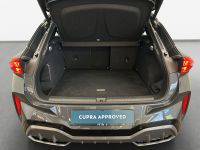 Cupra Terramar - Vorschau Bild 15