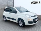 Fiat Panda Easy 1,2 - gebrauchte Fiat Panda aus dem Jahr 2019