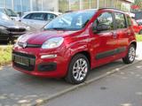 Fiat Panda  Automatik*Klima*PDC*I Hand* - gebrauchte Fiat Panda aus dem Jahr 2014