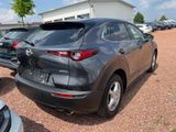 Mazda CX-30 2.0 SkYACTIV Hybrid Design-Paket ACC|Navi| - Mazda in Chemnitz