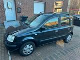 Fiat Panda 1.2 8v - gebrauchte Fiat Panda aus dem Jahr 2004