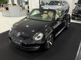 Volkswagen Beetle Exclusive Design*LEDER BEIGE*NAVI*XENON* - Volkswagen Beetle in Bochum
