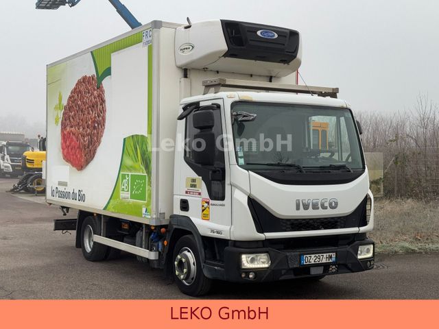 Iveco 75-160 -Fleisch Hacke (Meat) Supra 450 Bis -30°C