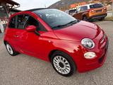 Fiat 500 1.0Ltr-51kW(69PS) Cabrio Club - Fiat 500 CLUB mit Benzin-Antrieb
