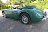 Austin Healey 3000 MK3 BJ8 | 1967 | Oldtimer | T - Austin Healey: Bj8