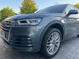 Audi Q5 40TDI 20zoll SLine quattro 360 AHK StHZ - Audi Q5: Sline
