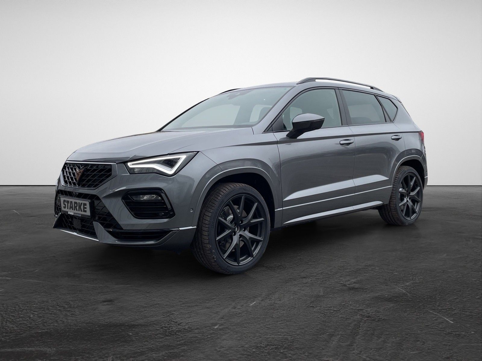 Cupra Ateca VZ 2.0 TSI DSG 4Drive VZ Tribe Edition Pa imagem 3
