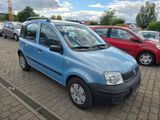 Fiat New Panda Tüv 1.Hand Nur81000km - Fiat New Panda Gebrauchtwagen