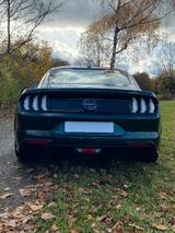 Ford Mustang Bullitt 5.0 V8 GT, deuts. Fahrz. Recaro  - Ford Mustang: Bullitt