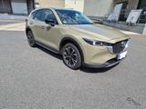 Mazda CX-5 D 184 Newground AWD,8xAlu Sommer , Winter - Mazda CX-5: Newground