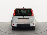 Fiat Panda Hybrid *70PS*DAB*Klima*PDC - Fiat Panda Vorführfahrzeuge