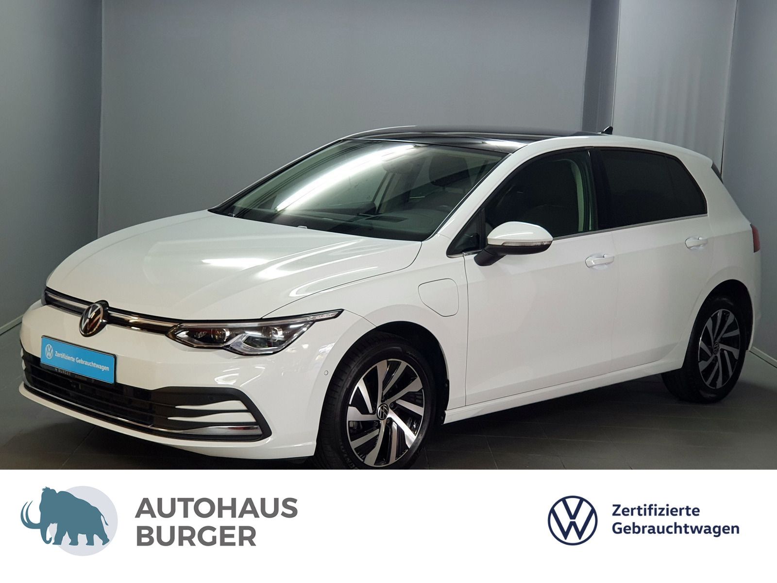 Volkswagen Golf VIII Style 1.4eHybrid DSG AHK ACC Pano HuD foto 1