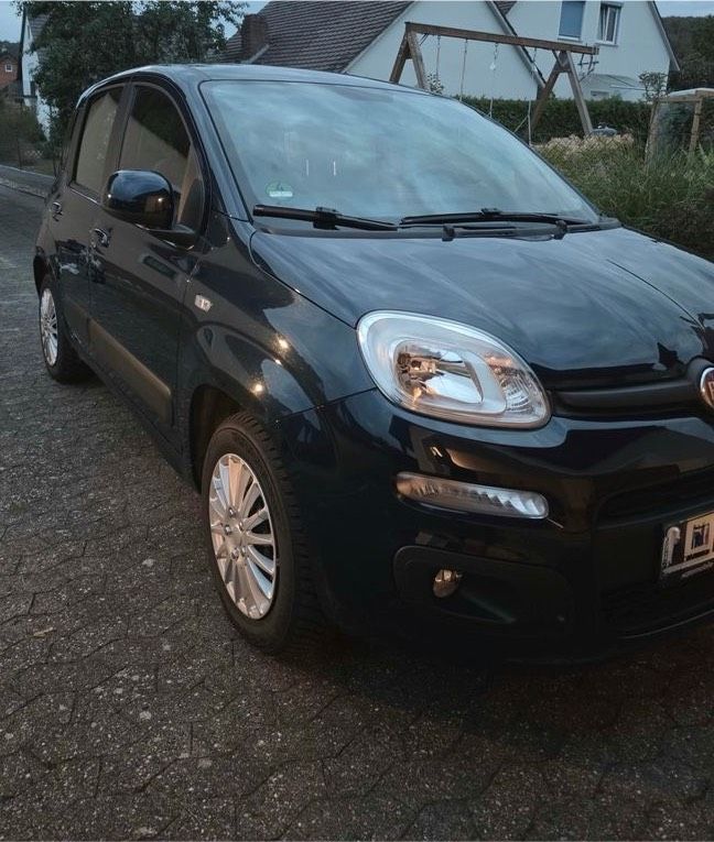 Image of Fiat Panda