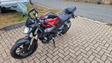 Yamaha MT-125 treue Begleiterin mit Charakter - YAMAHA TR1