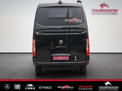 Autohaus Thorwesten Gebrauchtwagen